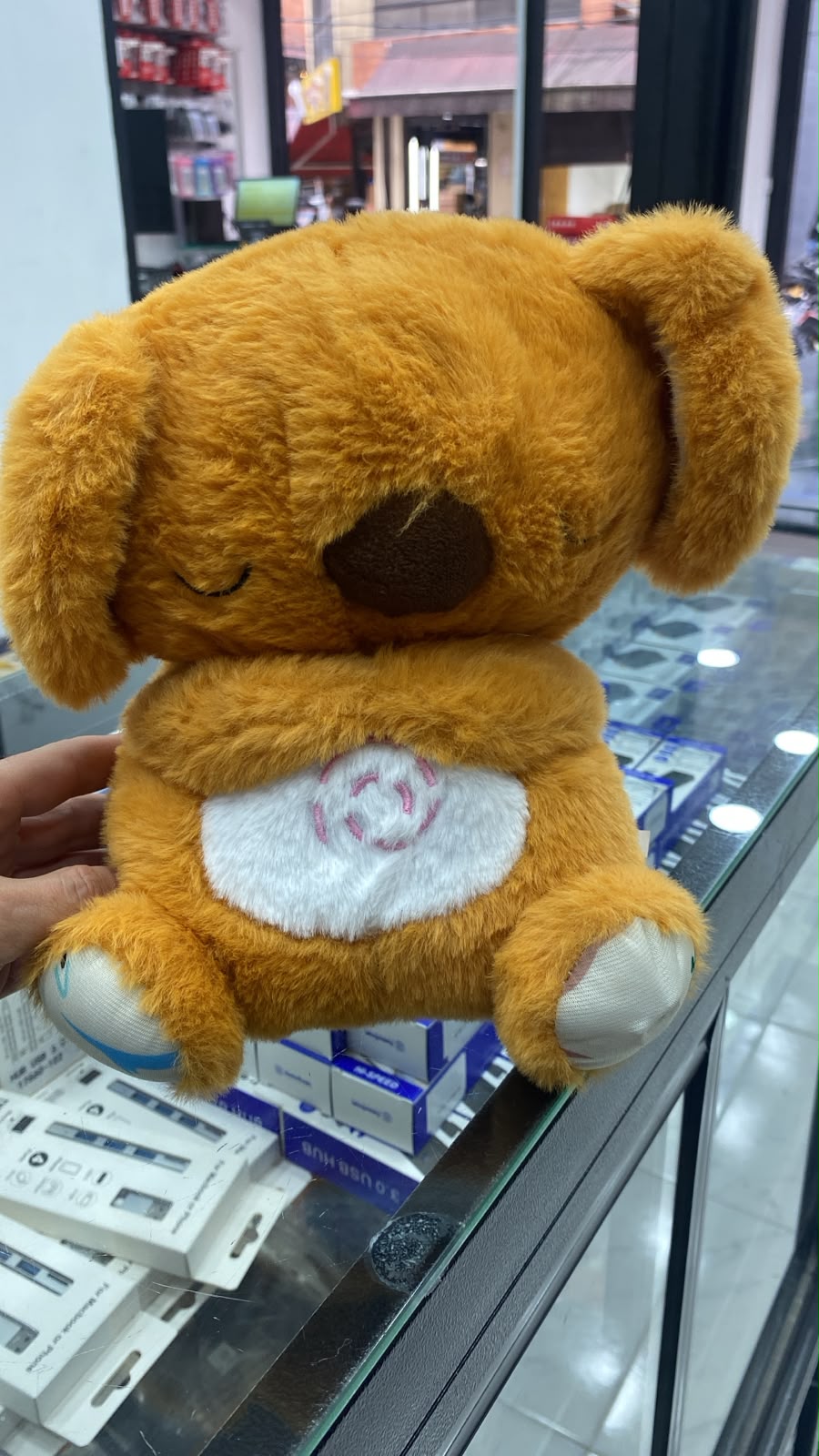 Peluche Koala que respira - DORADO