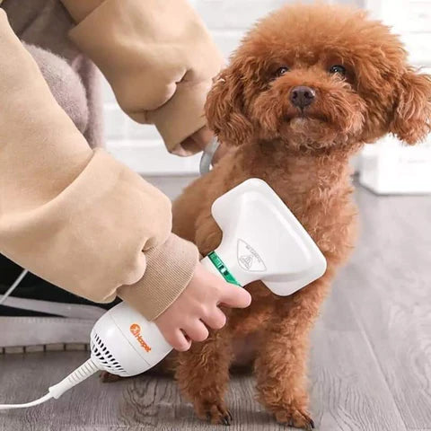 Cepillo Secador para Mascotas